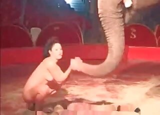 Naughty brunette is doing her best to seduce an elephant