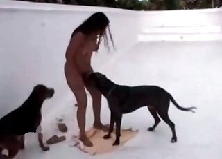 Curly brunette seduces a dog for pussy-licking session