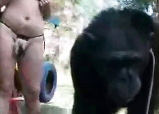 Naughty bitch does her best to seduce a monkey for hot zoo porn