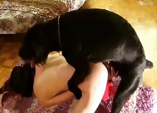 Appealing lady fucks a black animal as she prepares for real orgasms