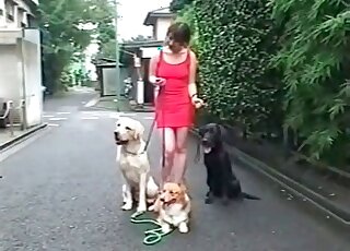 AV babe gets involved in a zoo porn together with some doggies