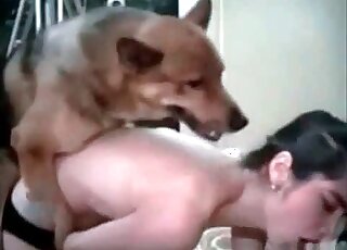 Zoophile slut moans as her pussy endures hot fucking by a dog