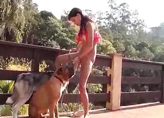 Naked chick tries to seduce two dogs by undressing in front of them