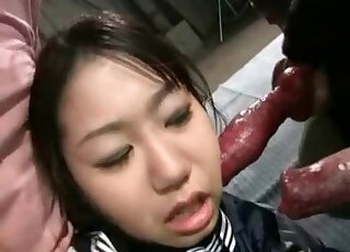 Japanese babe is about to make out with two dogs at the same time