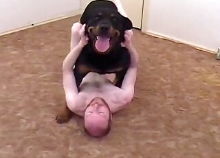 Black rottweiler bangs tight ass of a zoophile dude at home