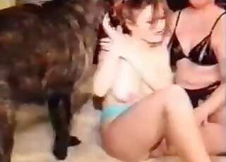 Two zoophile sluts get involved in bestiality sex with a big dog