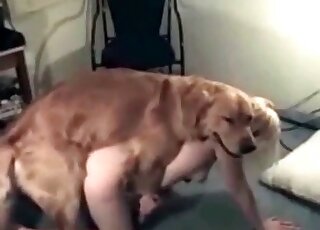 Fluffy dog performs a non-stop pussy-ramming of a hot blond chick