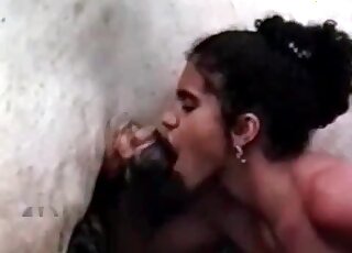 Curly bitch loves taking that horse's huge cock deep in her mouth