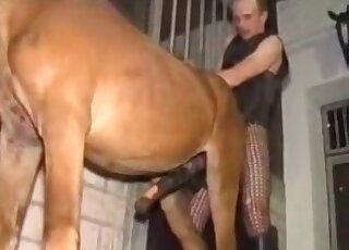Perverted zoophile passionately fucks with a horse in stables