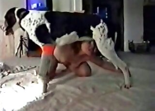 Skinny dog fucks slender babe's tight pussy in bestiality video