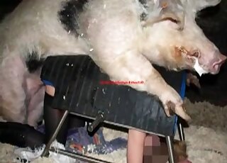 Black stockings babe fucks a sexy pig while wearing enjoying creampies