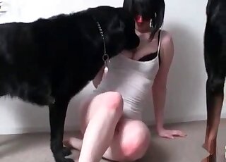 Pale zoophile with large breasts has two dogs begging to fuck her