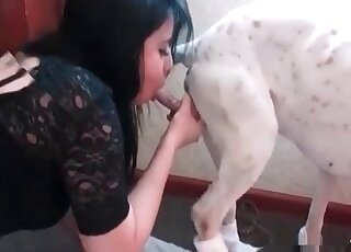 Brunette in a sophisticated black outfit puts dog's penis in her mouth