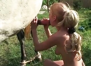 White stallion fucks this lady's tight hole before enjoying a blowjob