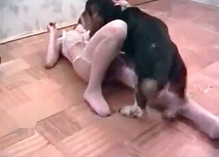 Naughty whore seduces a dog to fuck her right on the floor