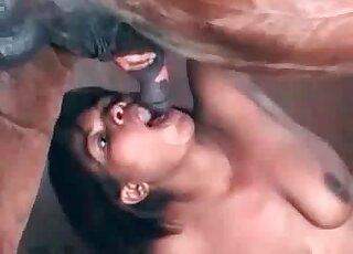 Hot handjob and blowjob for a horse by horny brunette