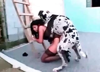 Hot brunette bends down in front of a big dog to get fucked