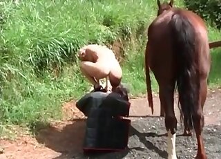 Skinny blonde gets twat almost torn apart by a horse’s schlong