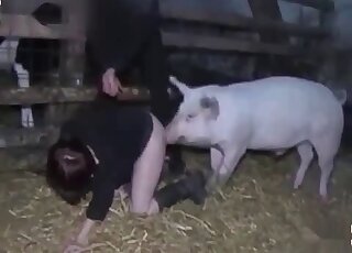 Boar bangs a dirty slut in a mind-blowing zoophilia scene