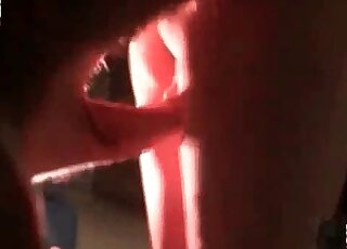 Kurba dobi neverjetno izkušnjo, ko jo žrebci seksajo