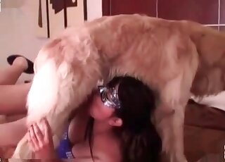 Animal sex loving bitch shows a closeup homemade vid of fucking a dog