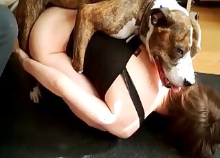 Hottie shows her bubble ass to a dog enjoys mind-blowing pussylick
