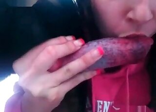 Closeup zoophilia video of a nasty slut deepthroating dog’s dick