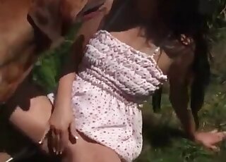 Dog gets a big confused before fucking a slutty chick outdoors