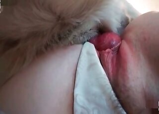 Masked housewife deepthroat her dog’s cock and enjoys zoo sex