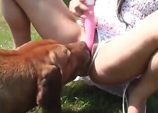 Wife spreads thighs outdoors to let her dog eat her horny pink twat