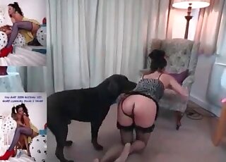 Horny dog doesn’t mind fucking ass and pussy of a nasty wife