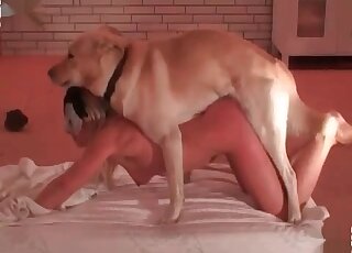 Masked sex doll makes her horny canine bang her cunt insanely