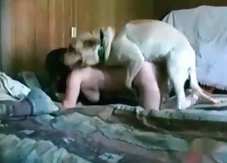 Cute chick enjoys licking her dog’s cock and takes a ride on it