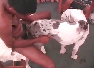 Nice dog gets screwed severely by a dirty-minded zoophile dude