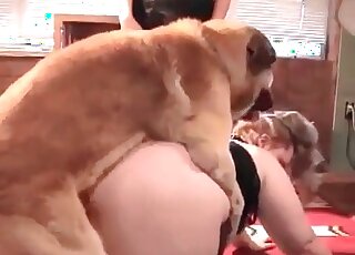 Plump mature slut gets her fat pussy fucked ardently by her pet dog