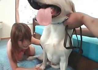 Spoiled Asian bimbos cannot stop sucking pink cocks of canines