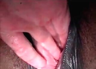 Closeup animal porn video of a nasty guy fisting and fucking a horse