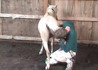 Perverted zoophile strokes and licks a horse before an intercourse