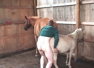 Hot pervert cannot wait to fuck a nice pony and inserts his cock deep
