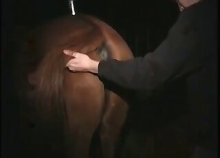 Shameless pervert comes to fuck a horse and enjoys it to the fullest