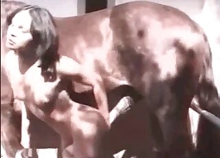 Nude brunette vigorously strokes massive pecker of a horse outdoors