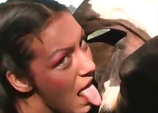 Oversexed Latina teases tits of a cow before milking it properly