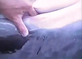 Man explores a deep hole of a big fish in the sea in a weird scene