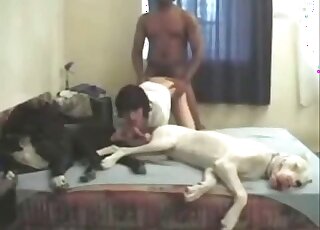 Mature whore sucks and rides cock of her dog and of her boyfriend