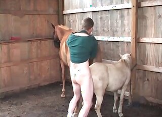 Wicked guy gives a deep fuck to a pony and enjoys the weird action