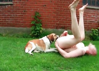 Naked guy invites his nice dog to lick his body and blow his dong
