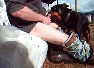 Horny wanker teaches his dog to lick his dong while he is jerking off