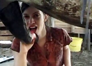 Filthy whore looks happy while sucking massive shaft of a horse