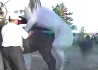 White stallion fucking brown mare in outdoor zoophilia porn scene