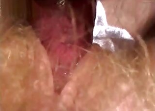 Nice closeup bestiality video focusing on depraved anal fucking